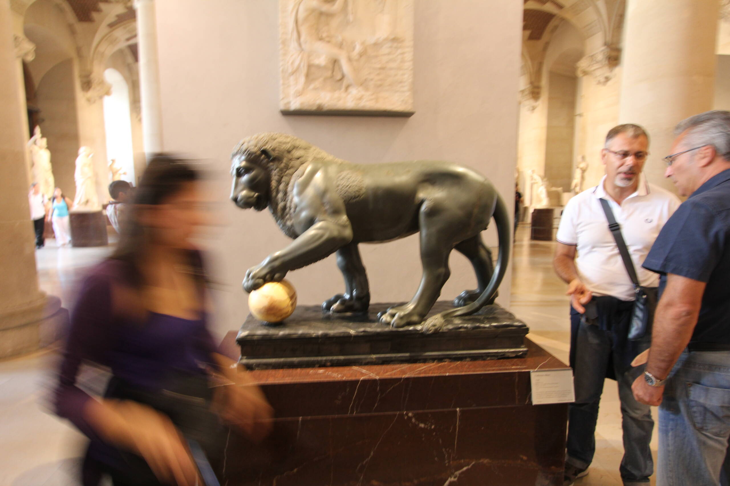 The Albany Lion