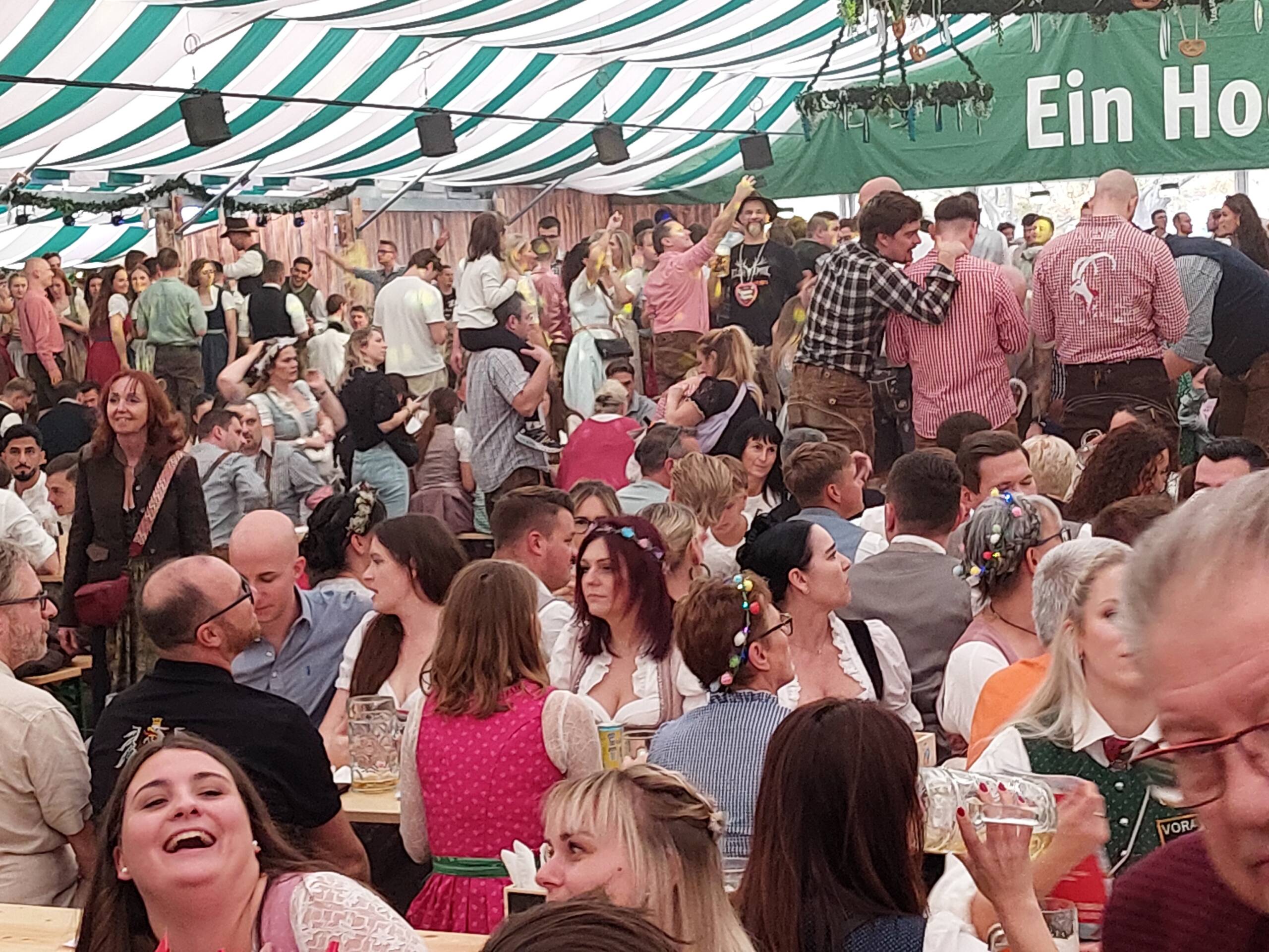 Gösser Fest, Vienna