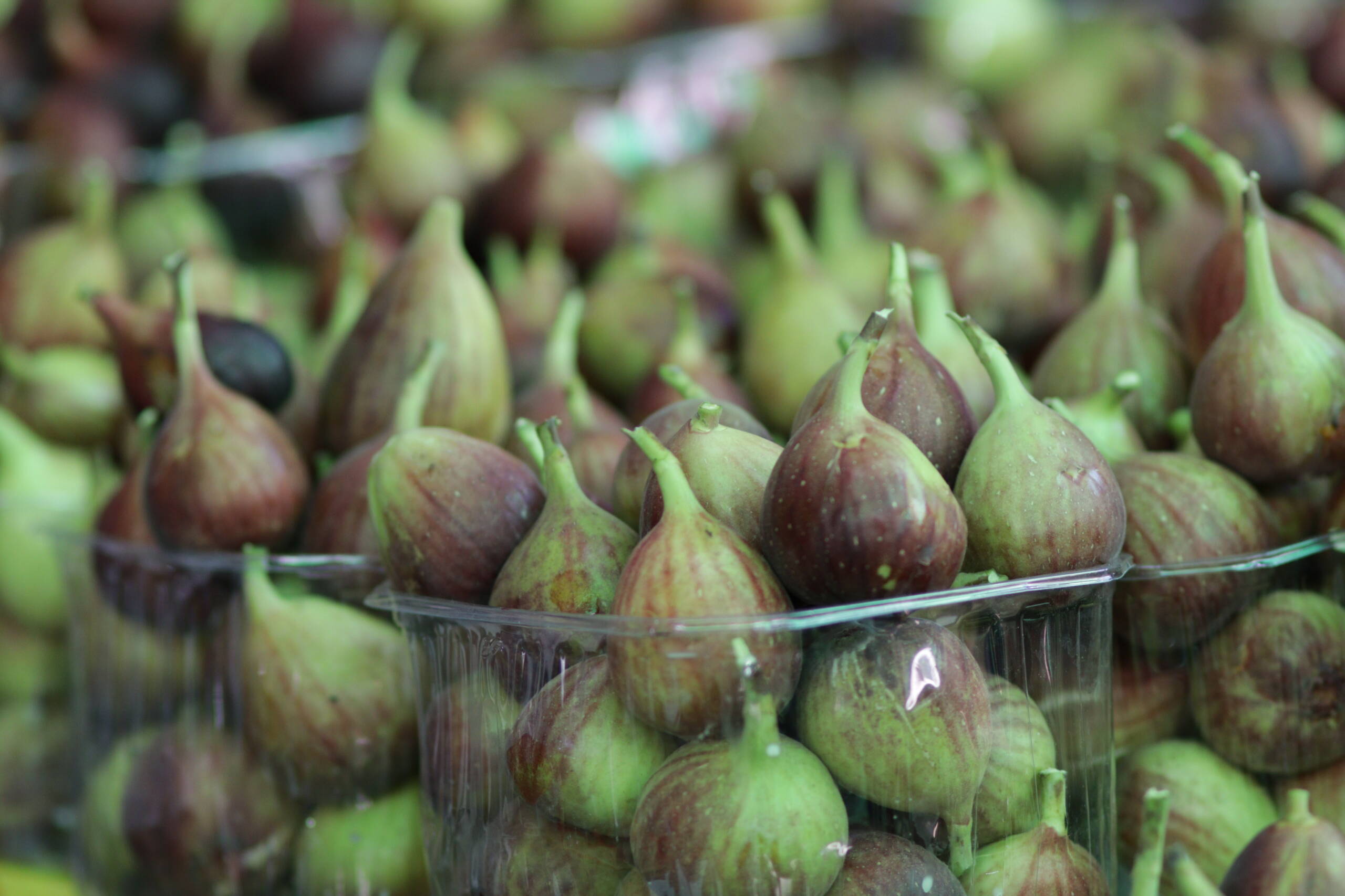 Figs in Season: Sweet Temptations in a Temporary Kitchen