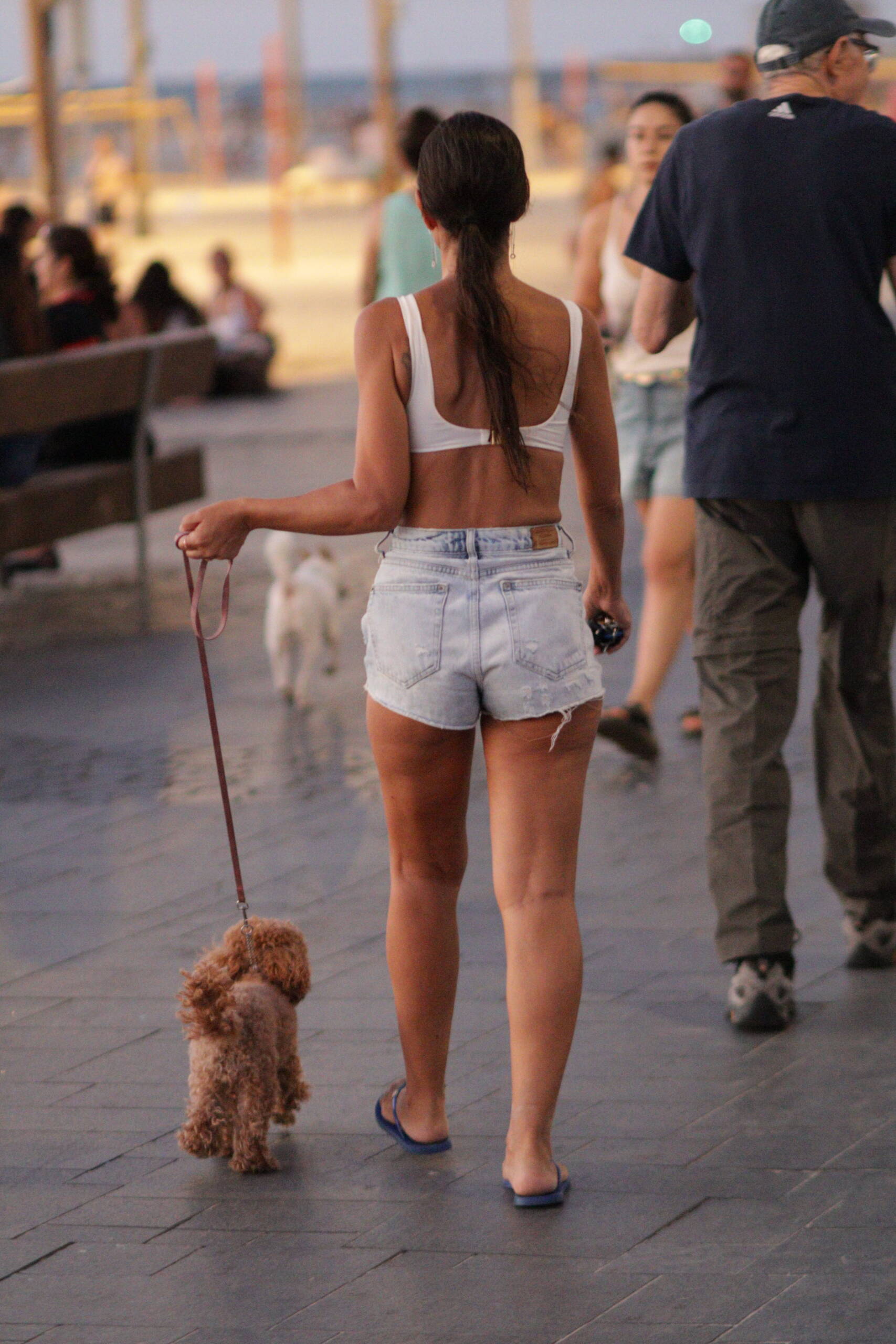 Vacation With Pets