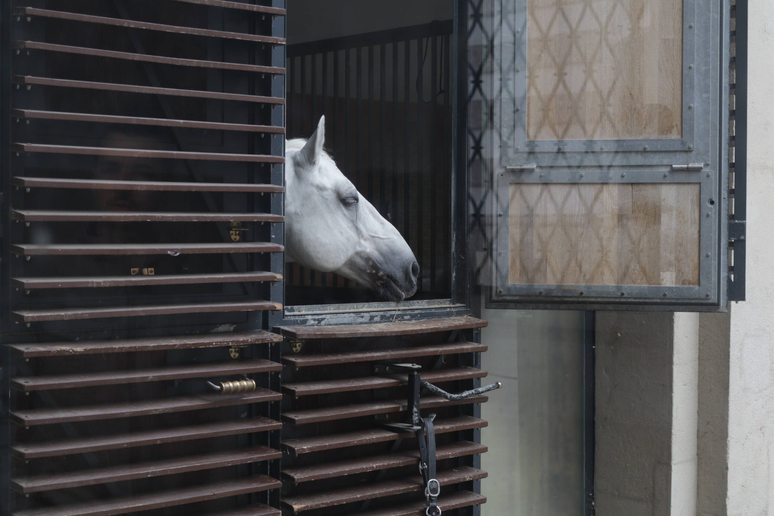 Spanish Riding School, Vienna