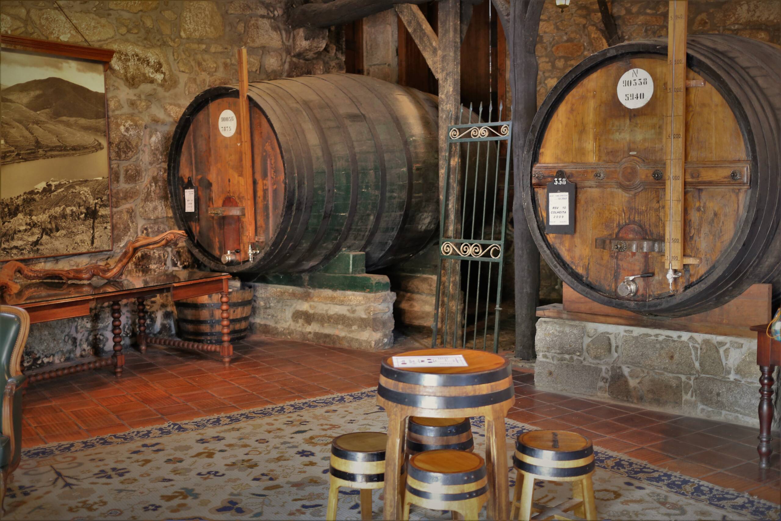 Wine Tasting in Porto