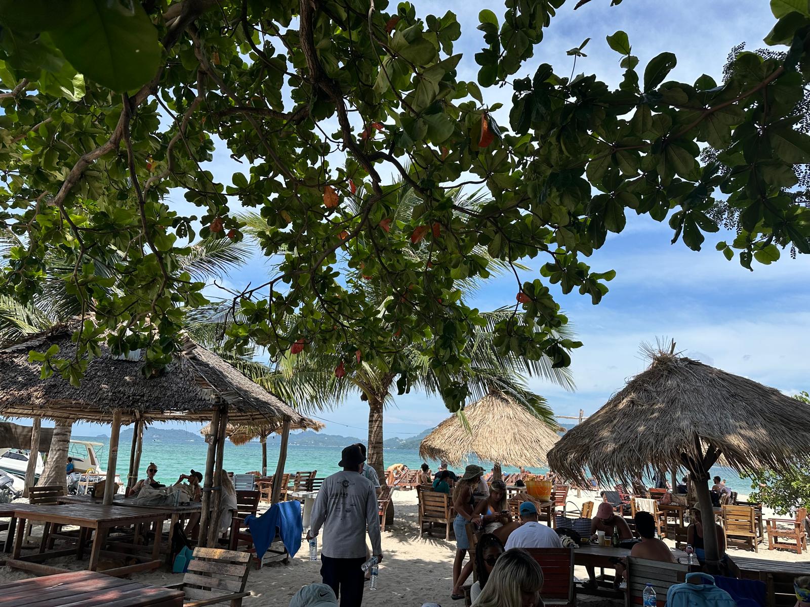 Pig Island, Koh Madsum, Thailand