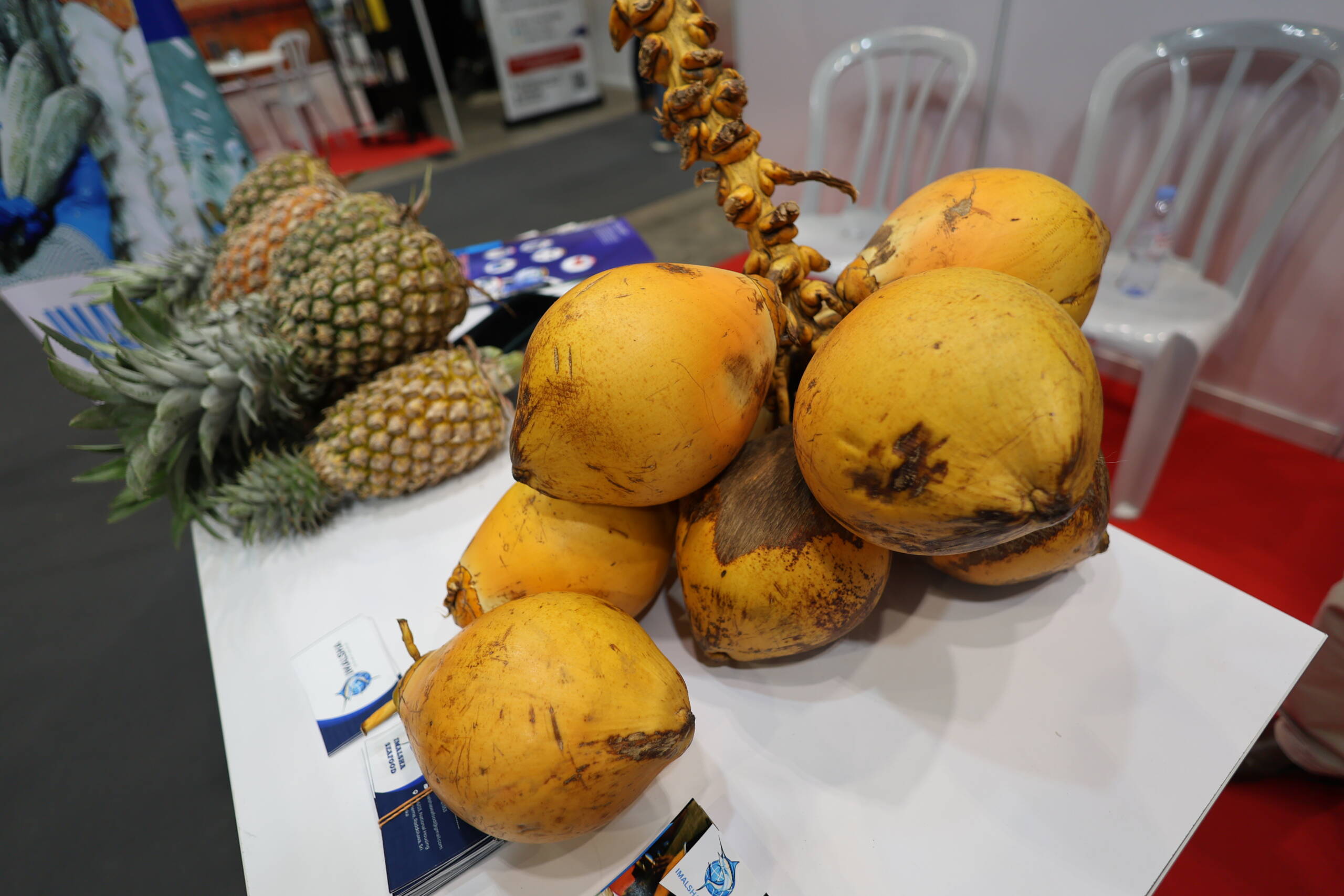 King Coconut: Sweet Water, Simple Joy