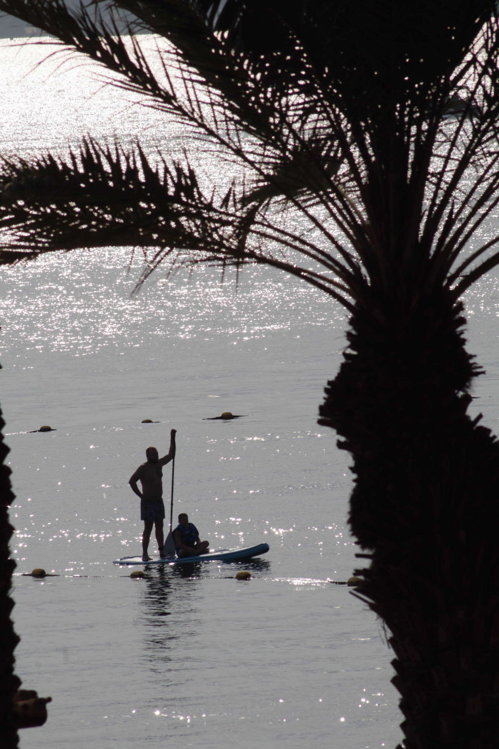 Paddleboard Silhouettes, Eilat