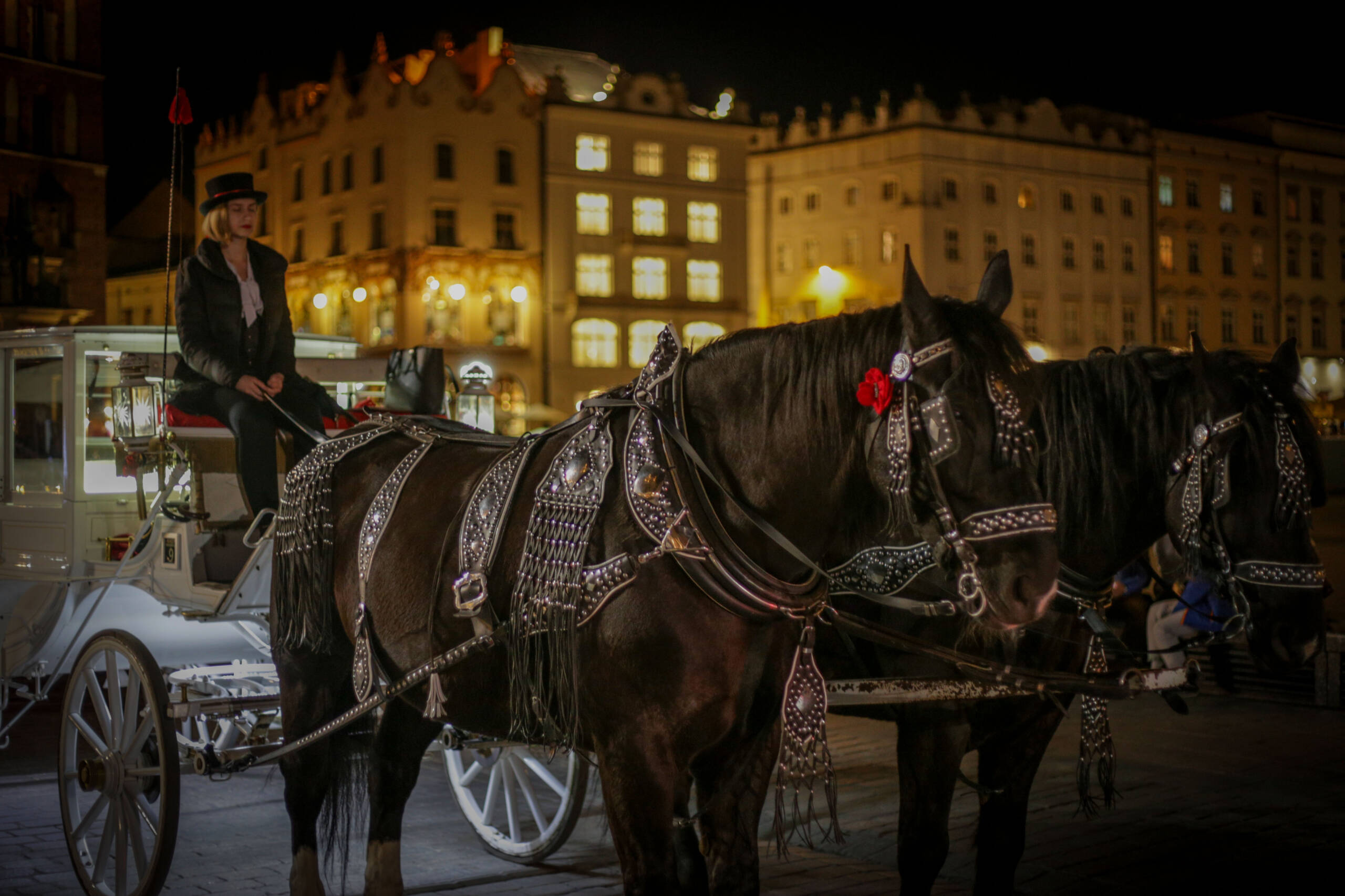 Noctourism: Why Travelers Are Choosing the Dark