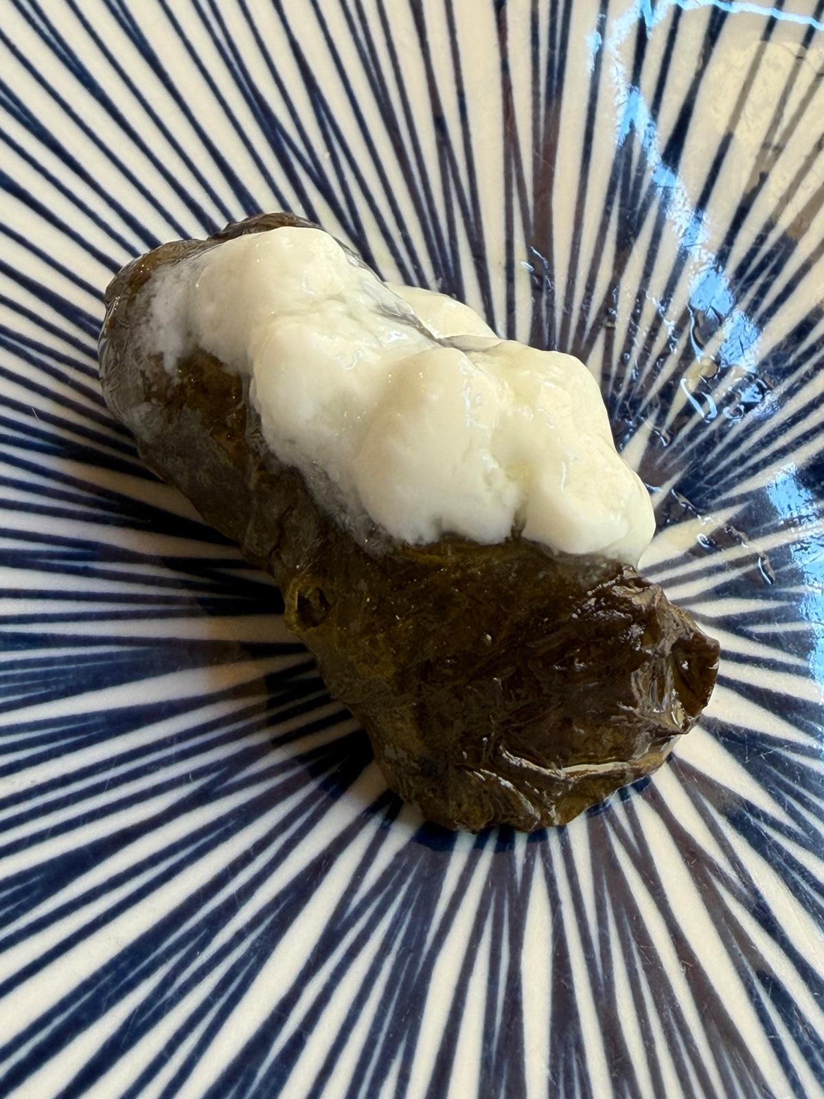 Close-up of a single dolma under garlic yogurt sauce on a blue-and-white striped plate. Garlic yogurt, qatıq — the conventional reading, cool against the warm roll.