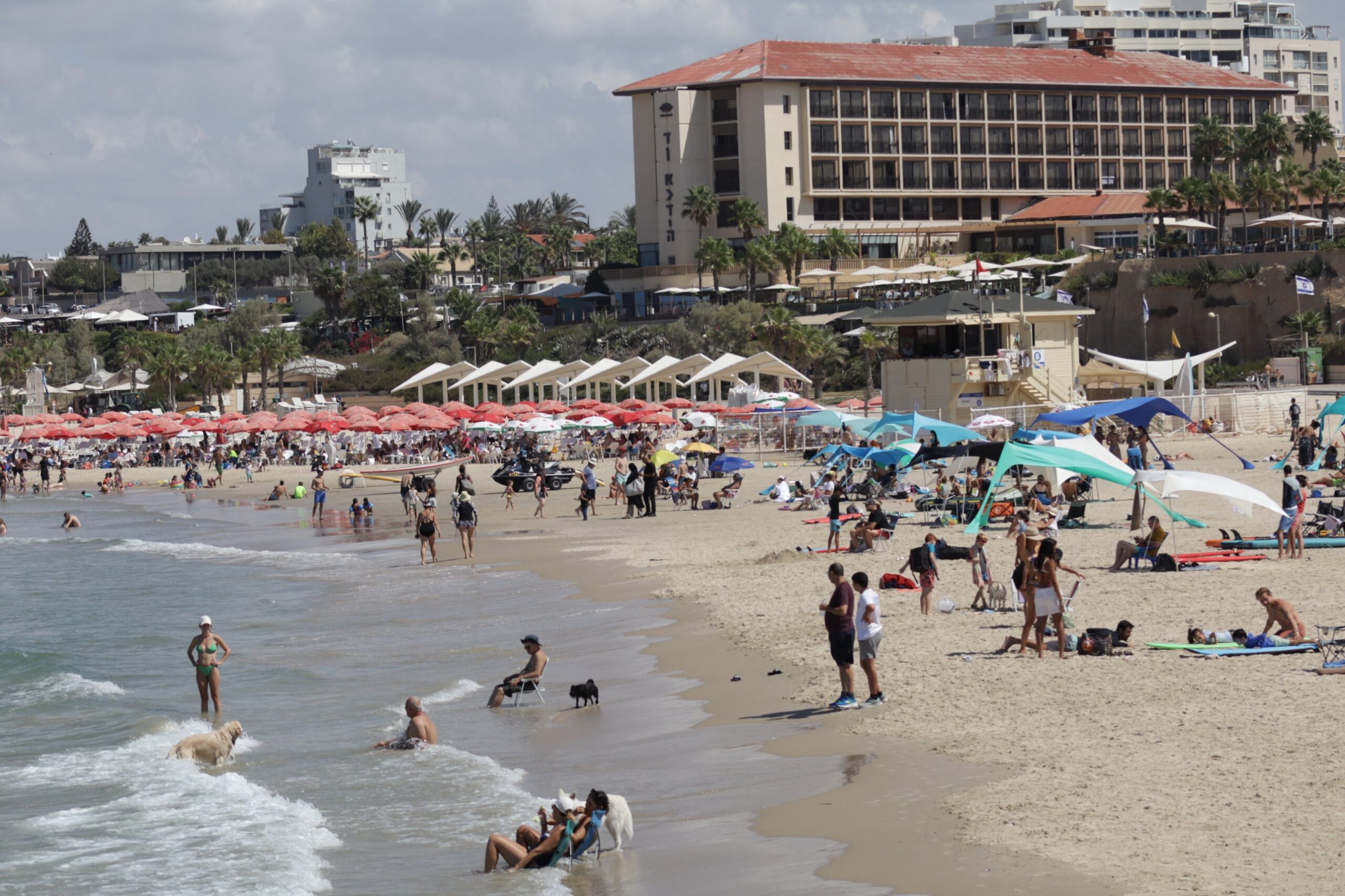 Bathers and dogs at the waterline on Accadia beach, with red umbrellas, a lifeguard tower and the Dan Accadia hotel above